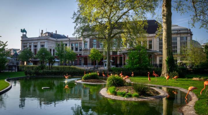 Studio In City Center With Terrace, Netflix - Wifi Antwerp Luaran gambar